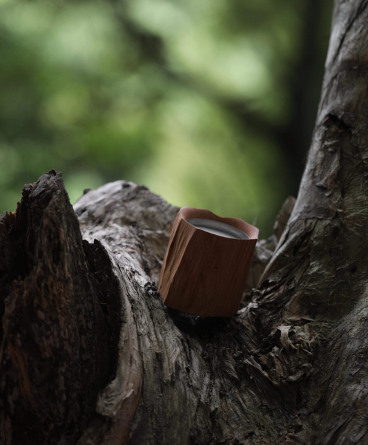 Morning Dew in the Pines Wood Cup Candle
