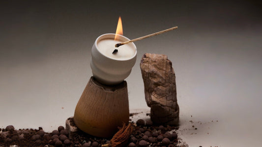 Elaroliving: Where Scent Becomes a Form of Living Art